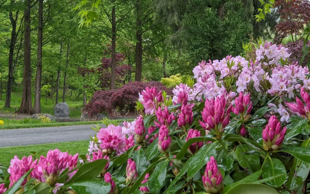 Hanselman Landscape 1720589572478