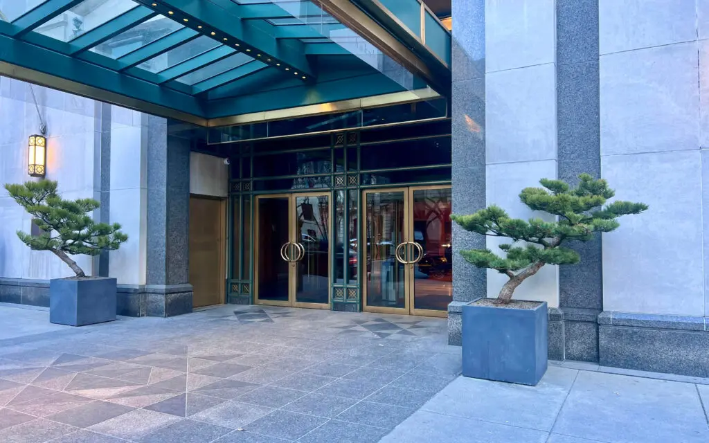 Ornamental Pines Outside Entrance Of Upscale Nyc Residence