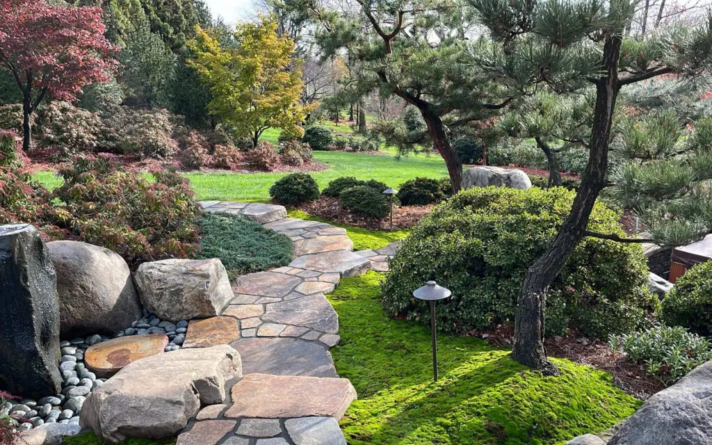Natural Stone Path Winds Between Mossy Beds
