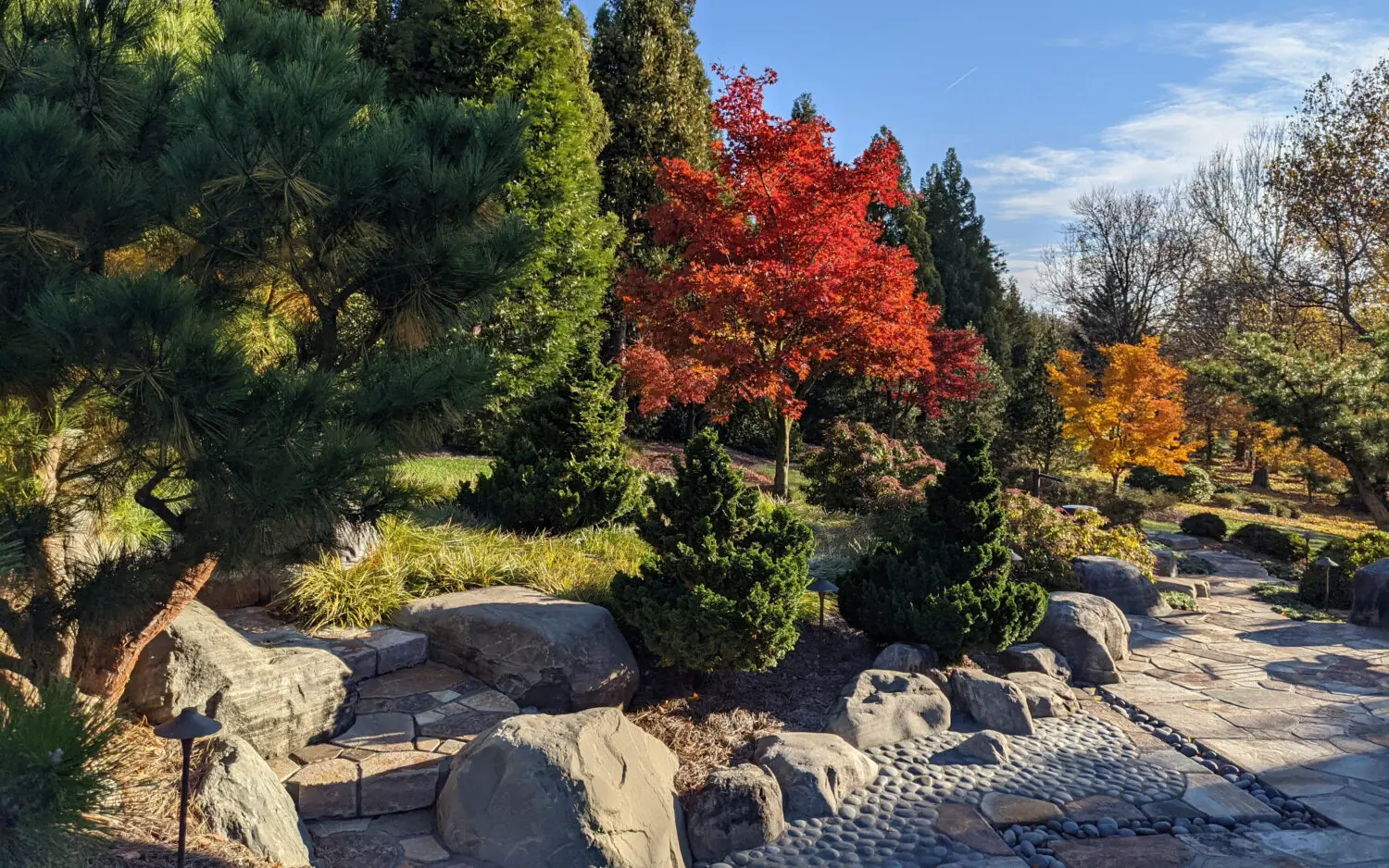 Hanselman Landscape 13 A Stone Walkway With Rocks And Trees In The Background