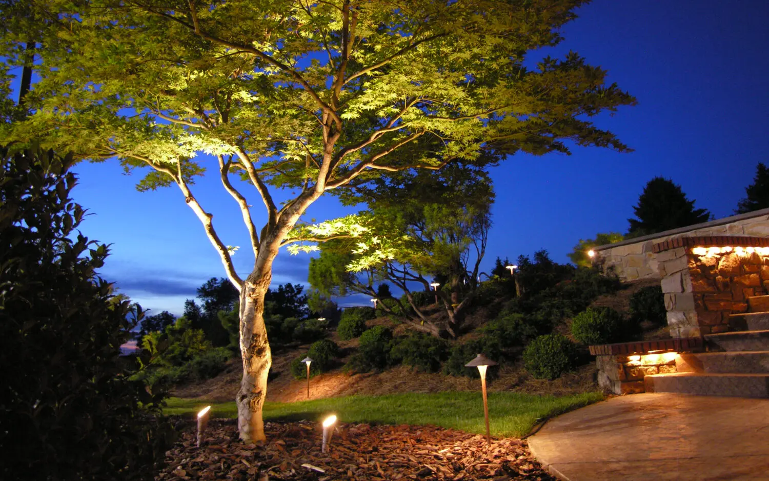 Hanselman Landscape 17 A Tree With Lights On It
