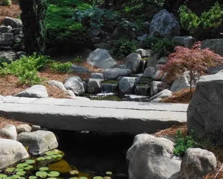 Garden Views 2 Garden Views 436316544 1170317470590631 8261504806541801880 N