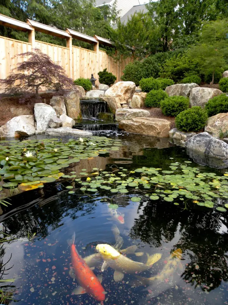 Garden Views 3 Garden Views 443714584 1170290017260043 9185146562493848602 N