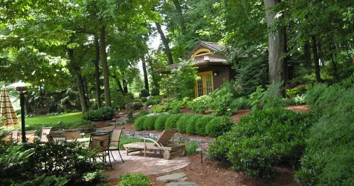 Garden Joys: Tranquility 10 Garden Joys: Tranquility 443718776 1170315573924154 5475943490682413416 N