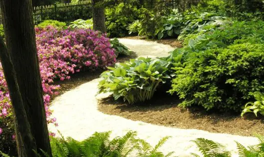 Garden Views_featured_image