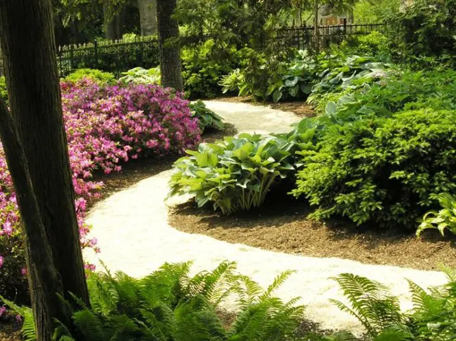 Garden Views_featured_image
