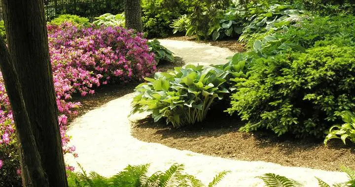 Garden Views 444139244 1170289947260050 2121930990985623651 N