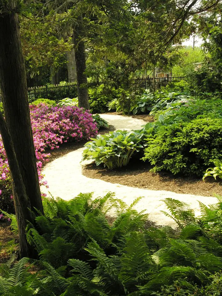 Garden Views 4 Garden Views 444139244 1170289947260050 2121930990985623651 N