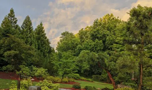 Summer Rain_featured_image