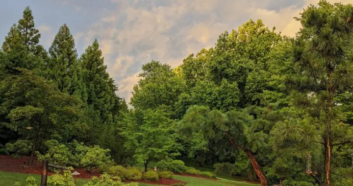 Summer Rain 5 Summer Rain 451037183 1206264856995892 8961231598145240447 N