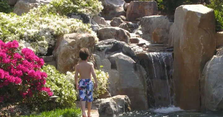 Garden Joys: Gatherings 18 Garden Joys: Gatherings 441966378 1170347503920961 2960652483602180132 N