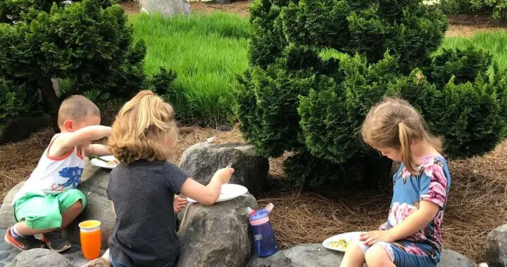Gardens For Children 449031697 1197518111203900 4238156272239028028 N