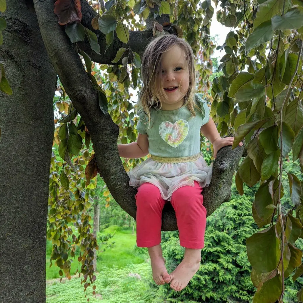 The Wonders Of Childhood 449042677 1197523031203408 1438024201982354968 N