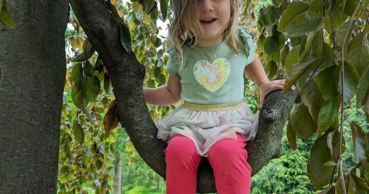 The Wonders Of Childhood 449042677 1197523031203408 1438024201982354968 N