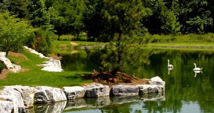 A Golden August Afternoon 4 A Golden August Afternoon 449087292 1197465694542475 322093754899452030 N