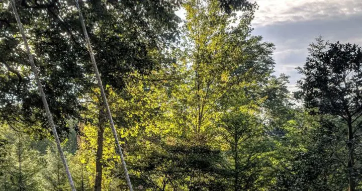 That Beautiful Season... 449456467 1197508524538192 7133579599199617607 N