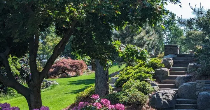 A Healthy Helping Of Greens 7 A Healthy Helping Of Greens 449514317 1197428261212885 7994649234380304317 N