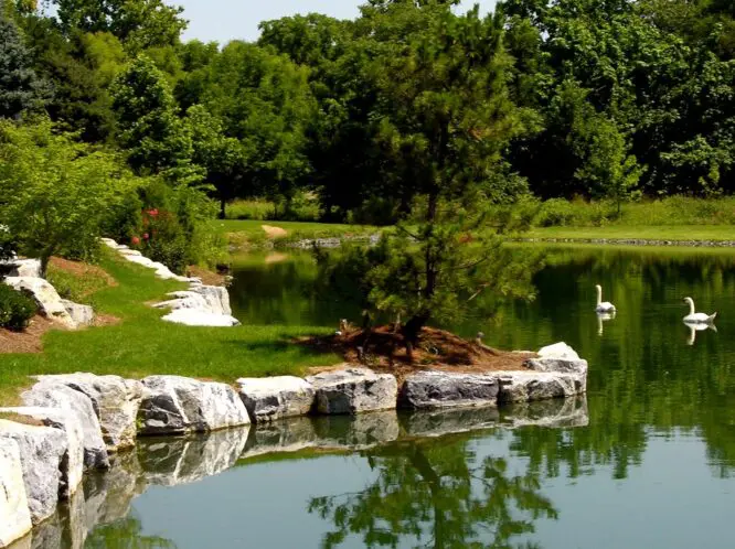 Garden Views: A Beautiful Place to Play!_featured_image