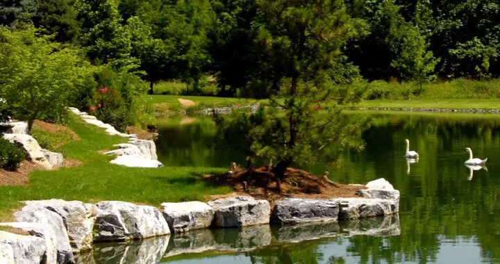 Garden Views: A Beautiful Place To Play! 453749543 1219546595667718 8699033577962169266 N