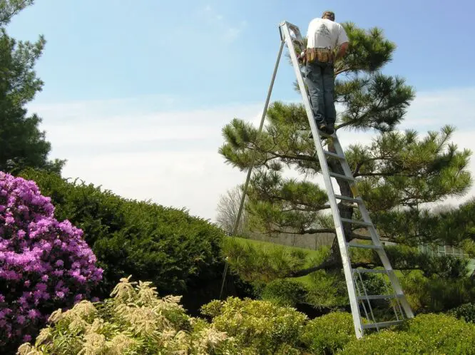 Uplifting Labor_featured_image