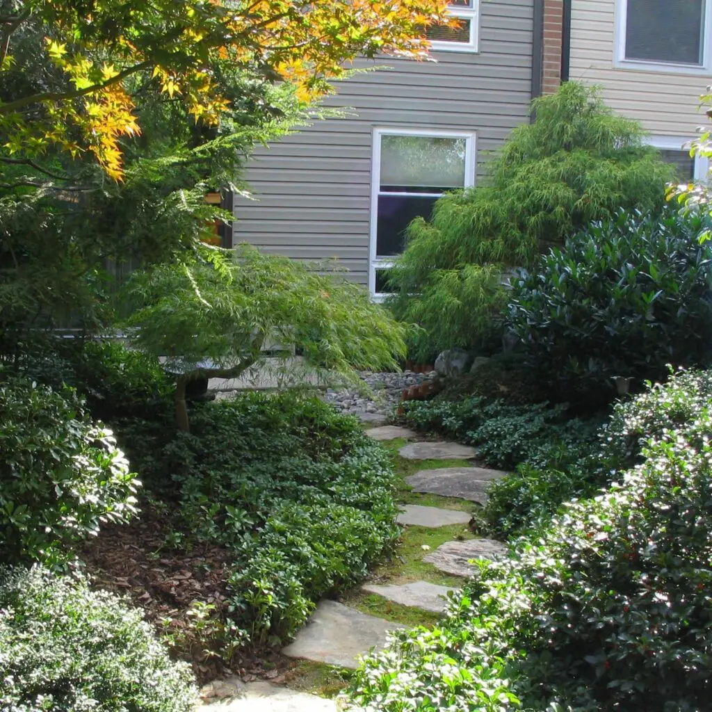 Japanese-Inspired Courtyard Garden Refreshes Lancaster City Row Home (Part 1) 2 Japanese-Inspired Courtyard Garden Refreshes Lancaster City Row Home (Part 1) 453612123 1219577502331294 2096595027638982694 N