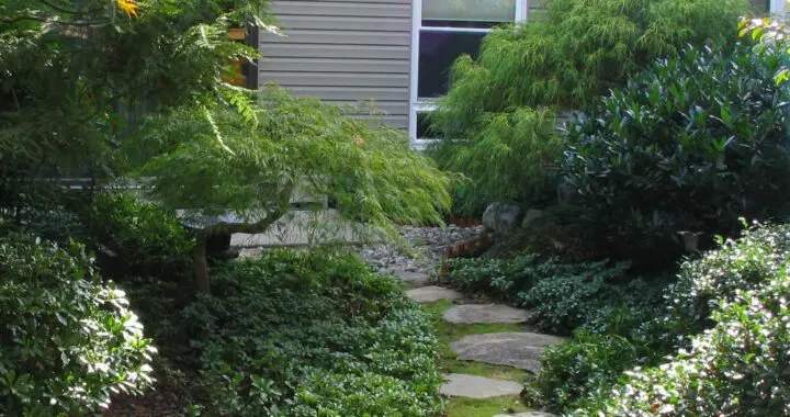 Japanese-Inspired Courtyard Garden Refreshes Lancaster City Row Home (Part 1) 453612123 1219577502331294 2096595027638982694 N