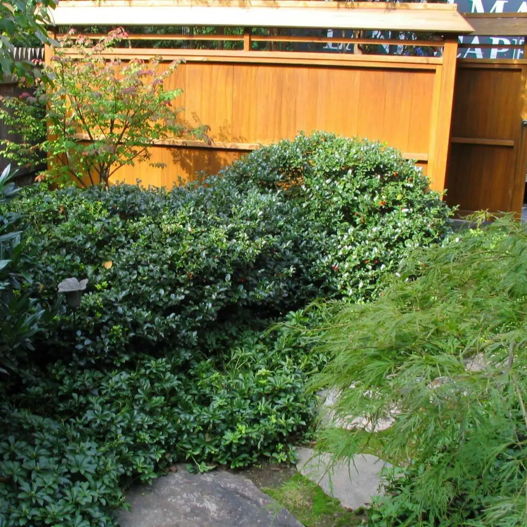Japanese-Inspired Courtyard Garden Refreshes Lancaster City Row Home (Part 2) 2 Japanese-Inspired Courtyard Garden Refreshes Lancaster City Row Home (Part 2) 454038151 1219583565664021 414896579932671250 N