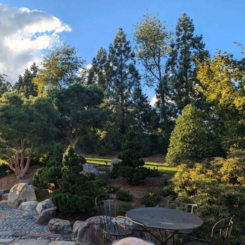 In September... 1 A Backyard Landscape Filled With Lush Green Trees Installed By Hanselman Landscape And Gardens