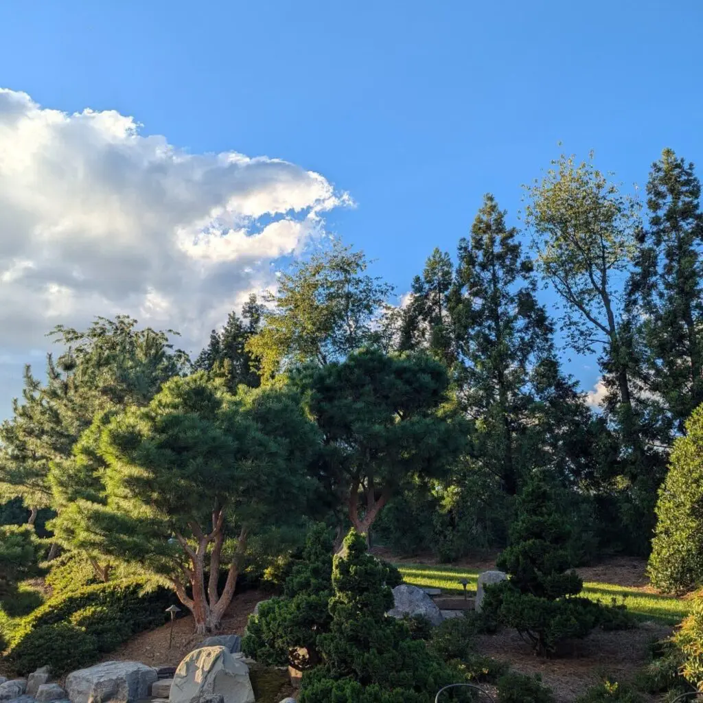 In September... 2 A Lush Backyard Full Of Trees And Stonework Installed By Hanselman Landscape