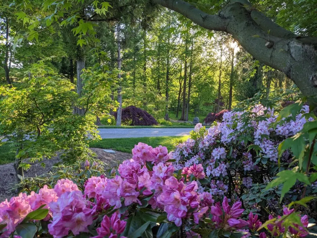 Nursery 14 Nursery Image