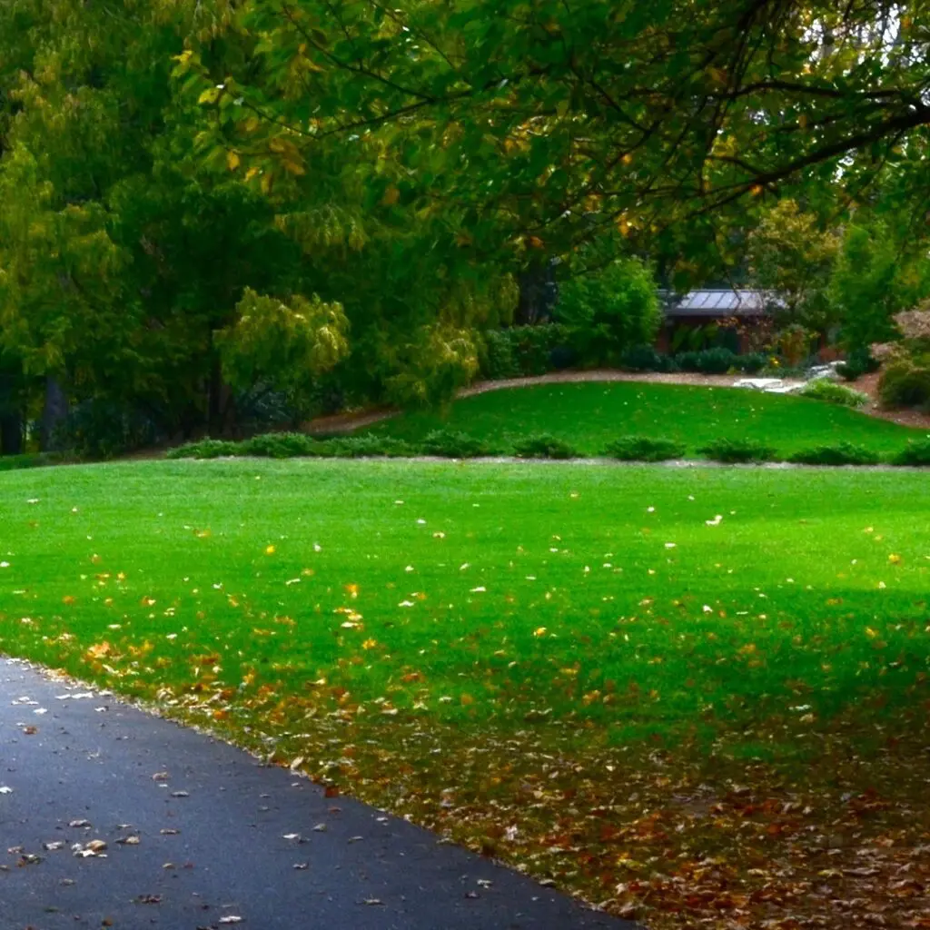 Fall Is For...fertilizing? 3 Fall Is For...fertilizing? 453080422 1215090639446647 3014978050161404423 N