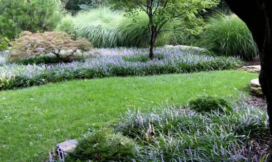 Fall is for…Fertilizing?_featured_image