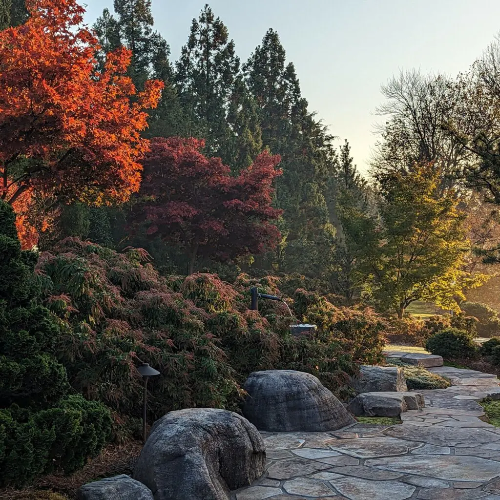 Autumn... 4 Autumn... 458929616 1243994263222951 2154160396544698445 N