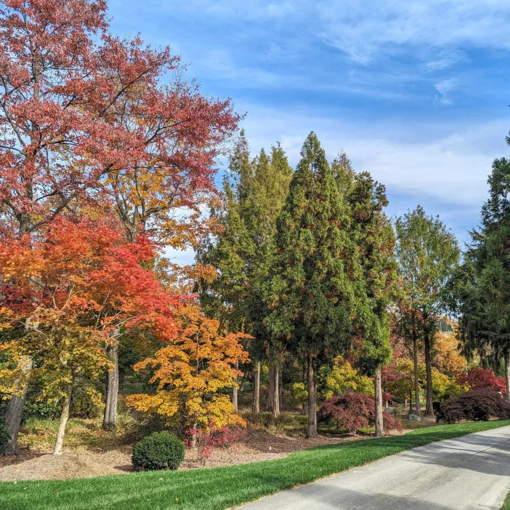 Autumn... 2 Autumn... 458957694 1243994636556247 1147532760260316226 N