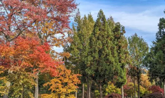 Autumn…_featured_image