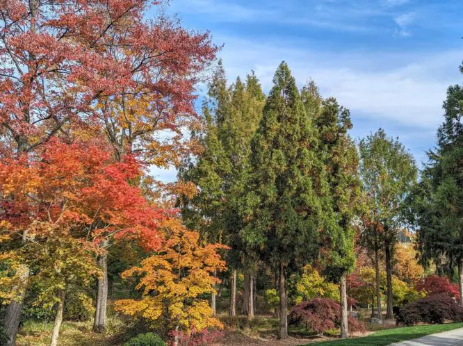 Autumn…_featured_image