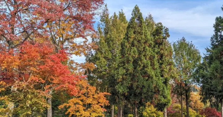 Autumn... 458957694 1243994636556247 1147532760260316226 N