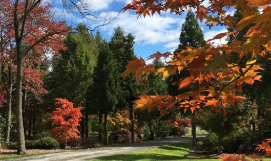 The Month of October_featured_image