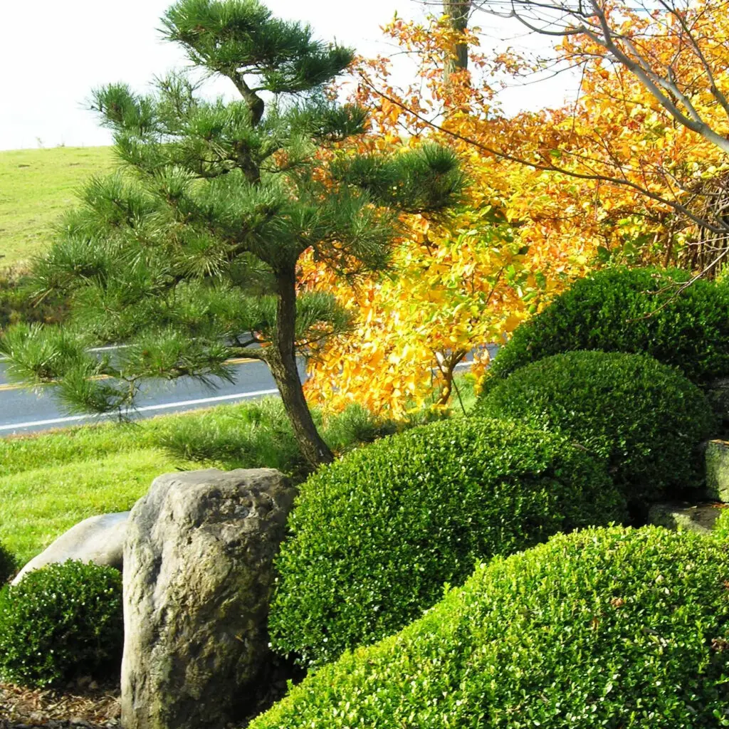 Commercial And Residential Landscape And Garden Services (2023) 19 Commercial And Residential Landscape And Garden Services (2023) Bo06 Boulders Complement And Support Bank Plantings 1