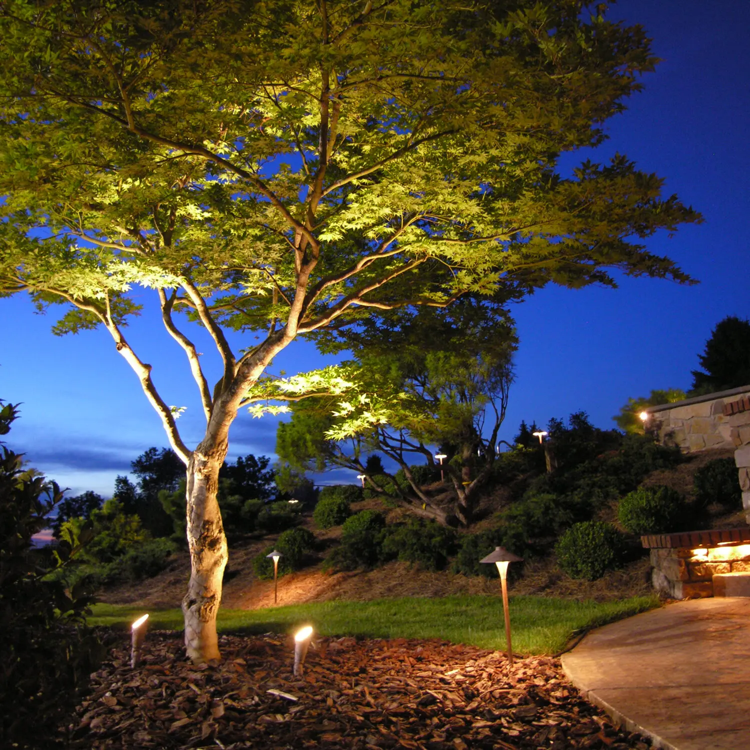 Landscape &Amp; Garden Projects 10 Landscape &Amp; Garden Projects Ln01 Path Lighting Recessed Wall Lighting And Up Lighting Of Trees 2 Scaled