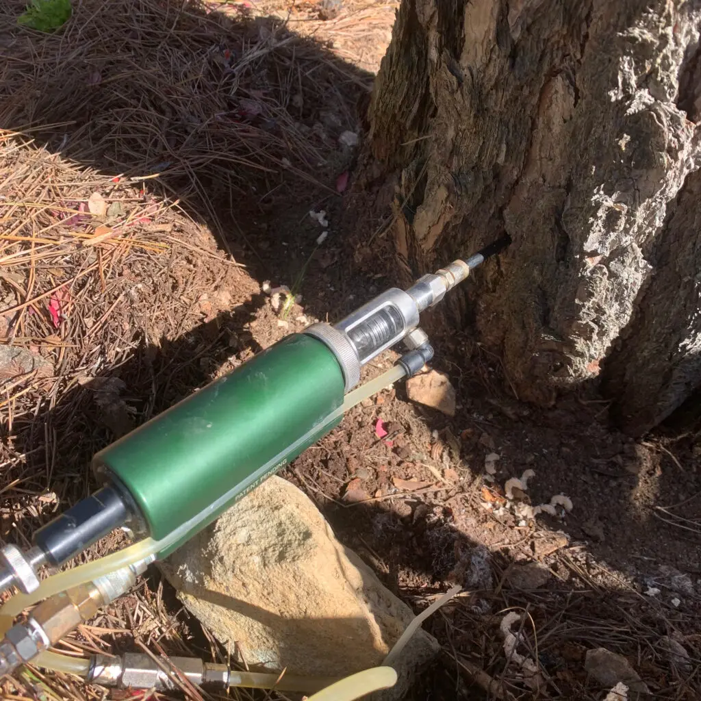 Pest Control, Plant Disease Control, And Weed Control In Lancaster County, Pa (Ian) 13 Tree Injection Helps To Disperse Treatment Throughout The Whole Plant