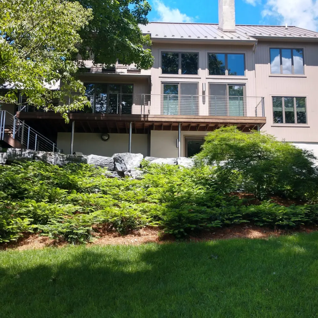 Specialty Plant Nursery In Lancaster, Pa 13 Japanese Plum Yews