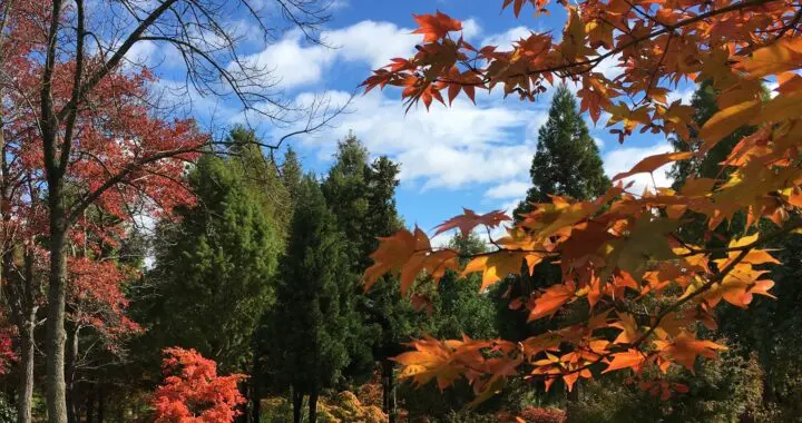 Inspiration From Nature... 11 Inspiration From Nature... 459911232 1248209256134785 167259563001960046 N