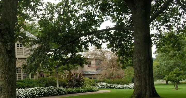 Tree Lessons 2 Tree Lessons 461325339 1258985181723859 3444958742152683735 N