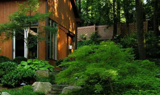 Groundcovers 101_featured_image