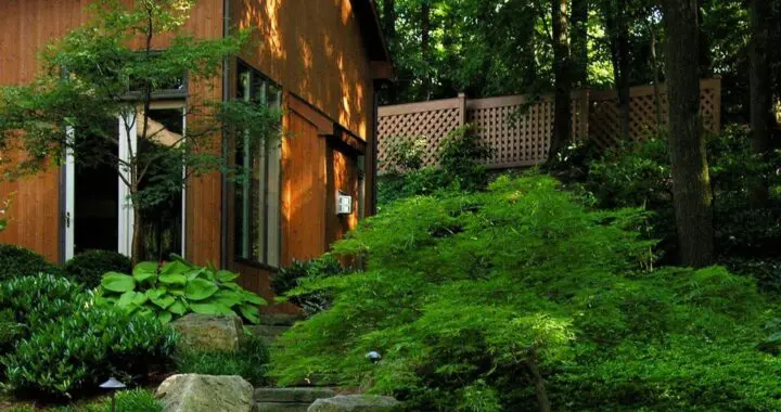 Groundcovers 101 461433990 1258956095060101 3518638746390294402 N