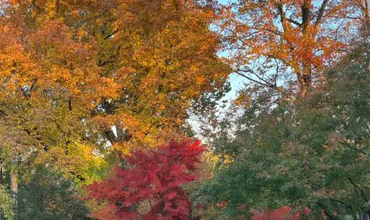 On Savoring Each Season_featured_image