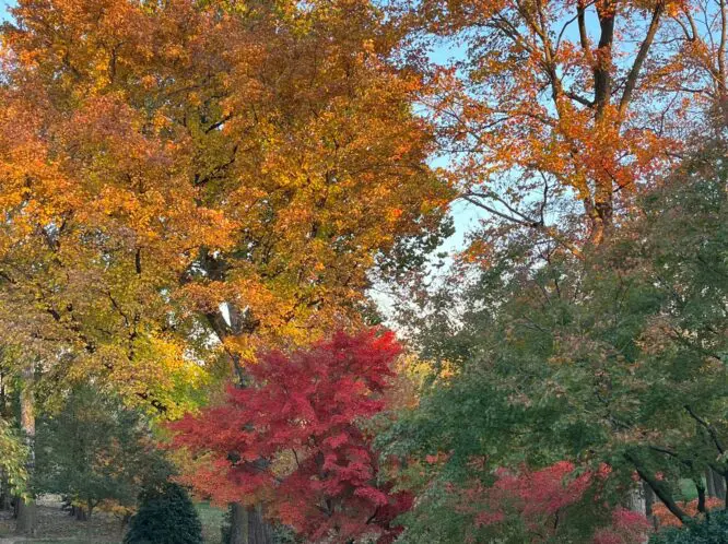 On Savoring Each Season_featured_image