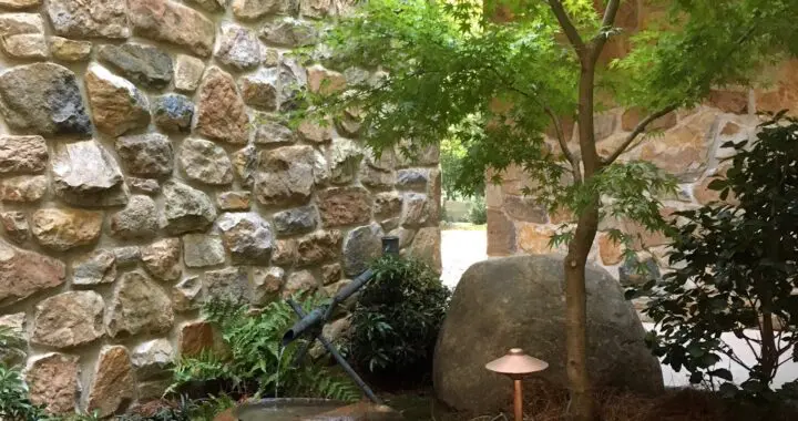 Marvelous Maple 459466265 1248189126136798 1629003906591500779 N