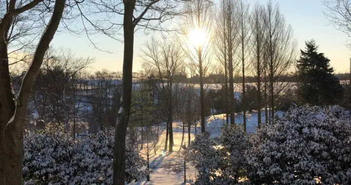 A Life Of Beauty And Joy 459885730 1248216929467351 5703840106261129259 N